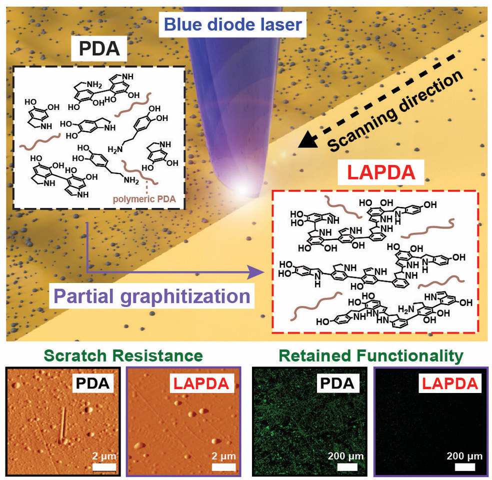 A Way of Providing Extraordinary Wear Resistance and Multifunctionality to Materials