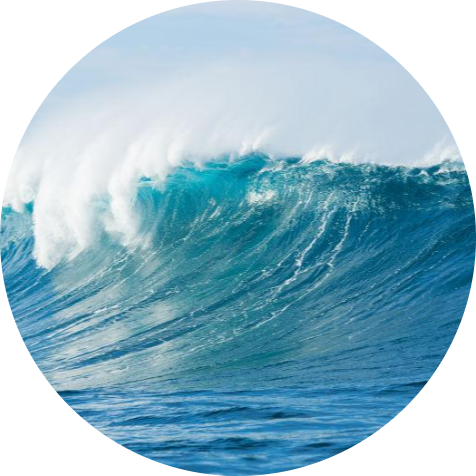 Go to the profile of Yuanyuan