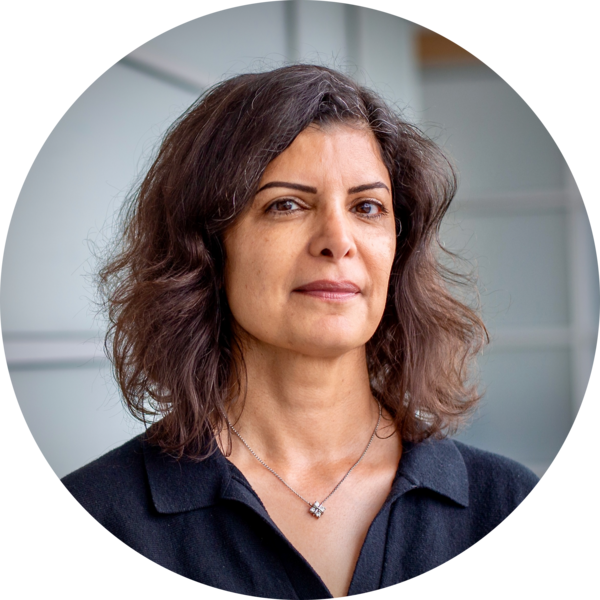 Go to the profile of Tina Eliassi-Rad