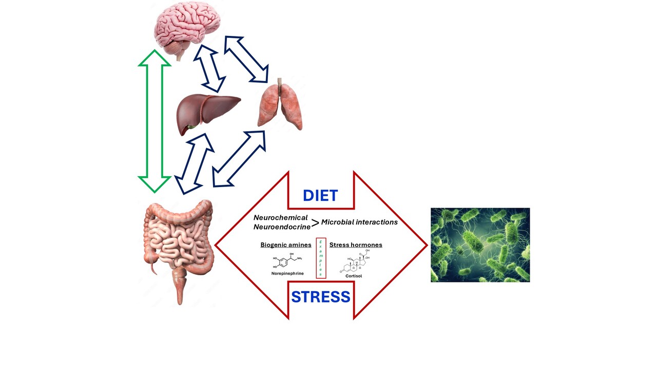 Microbial endocrinology - At the neuroendocrine intersection of microbe and host