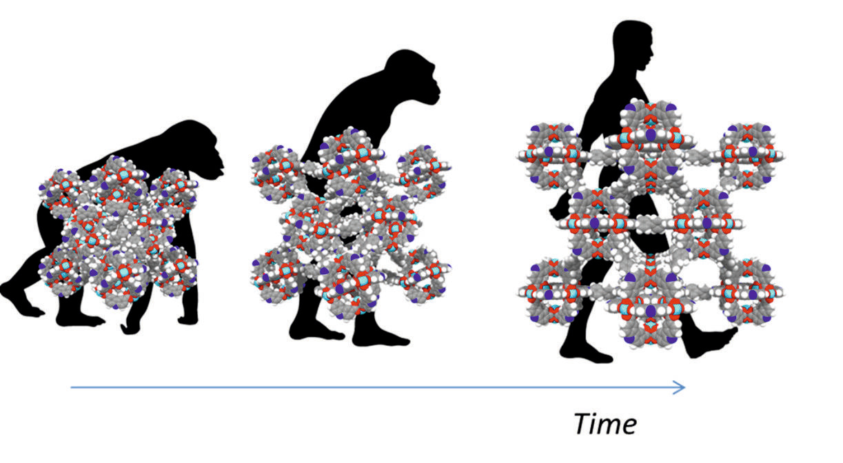 Can we rationally design 4D-Materials? 