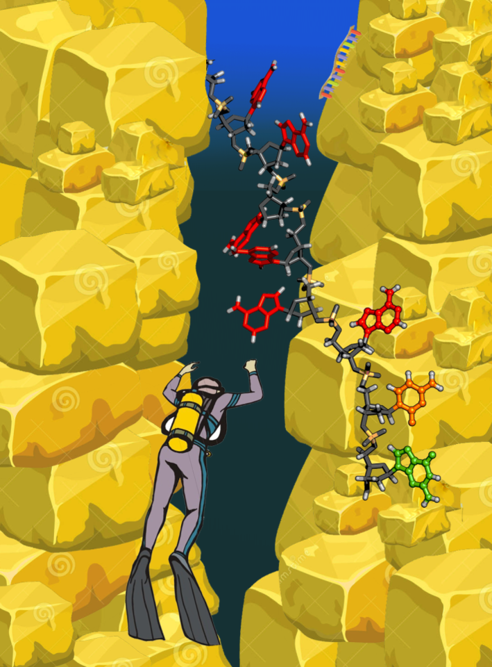 A sub-nanometer field of vision, perfect for peeping DNA 