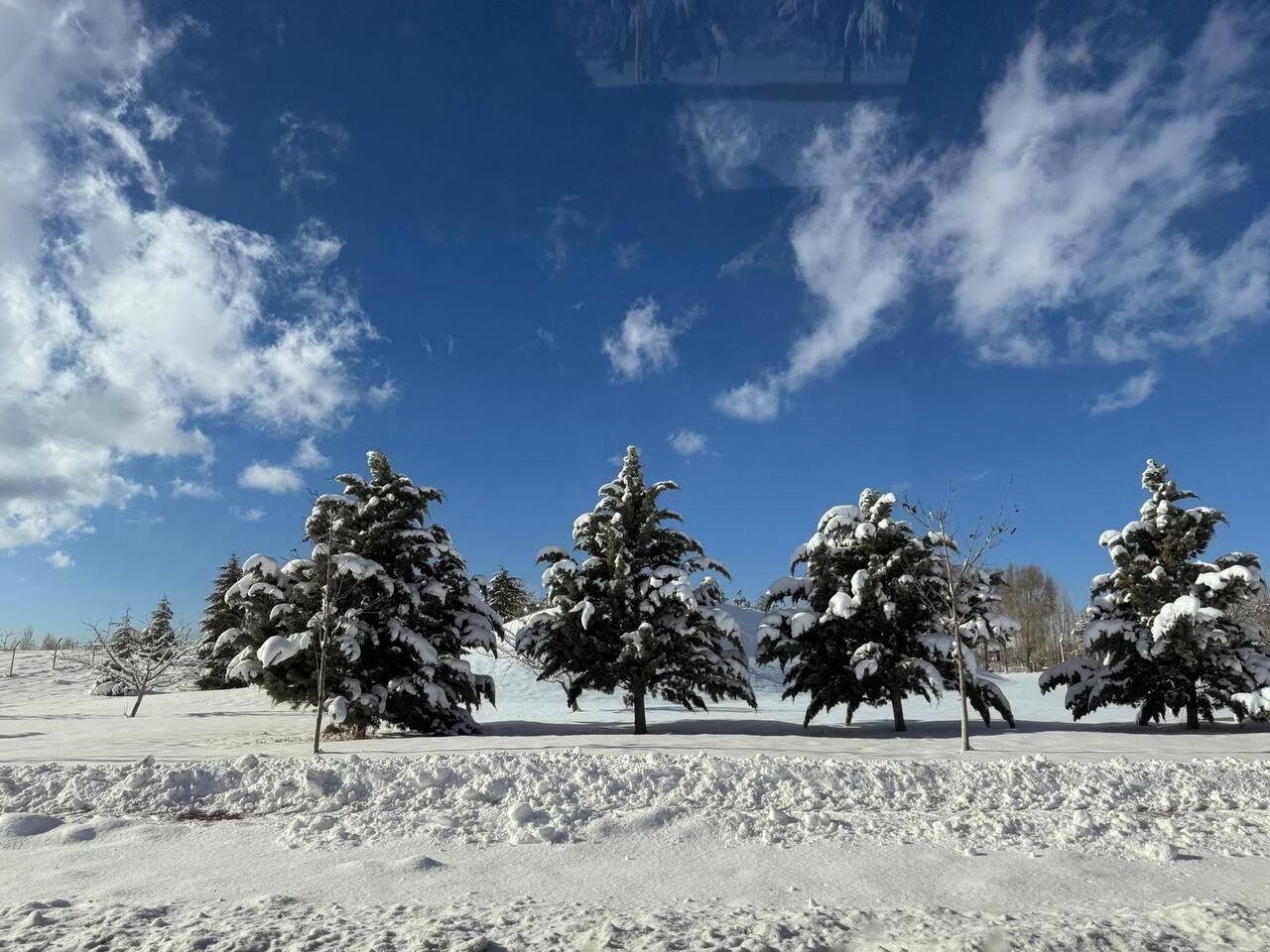 Net Zero Cities and Their Features