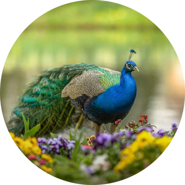 Go to the profile of Tesfaye Asefa