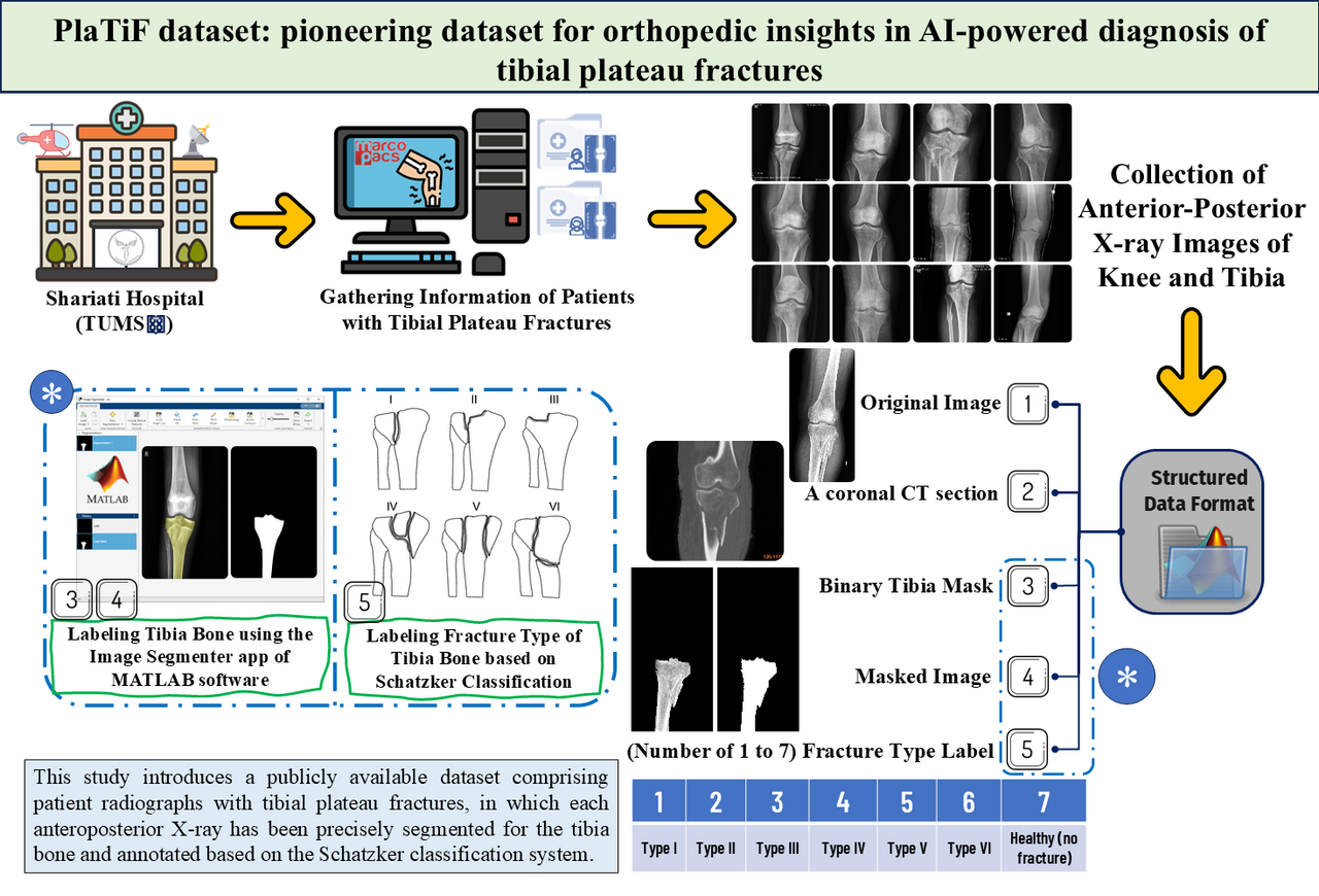 Bridging the Data Gap in Orthopedic AI: The Story of the PlaTiF Dataset