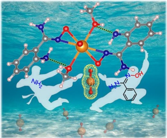 Bio-Inspired Uranium Nano-Traps