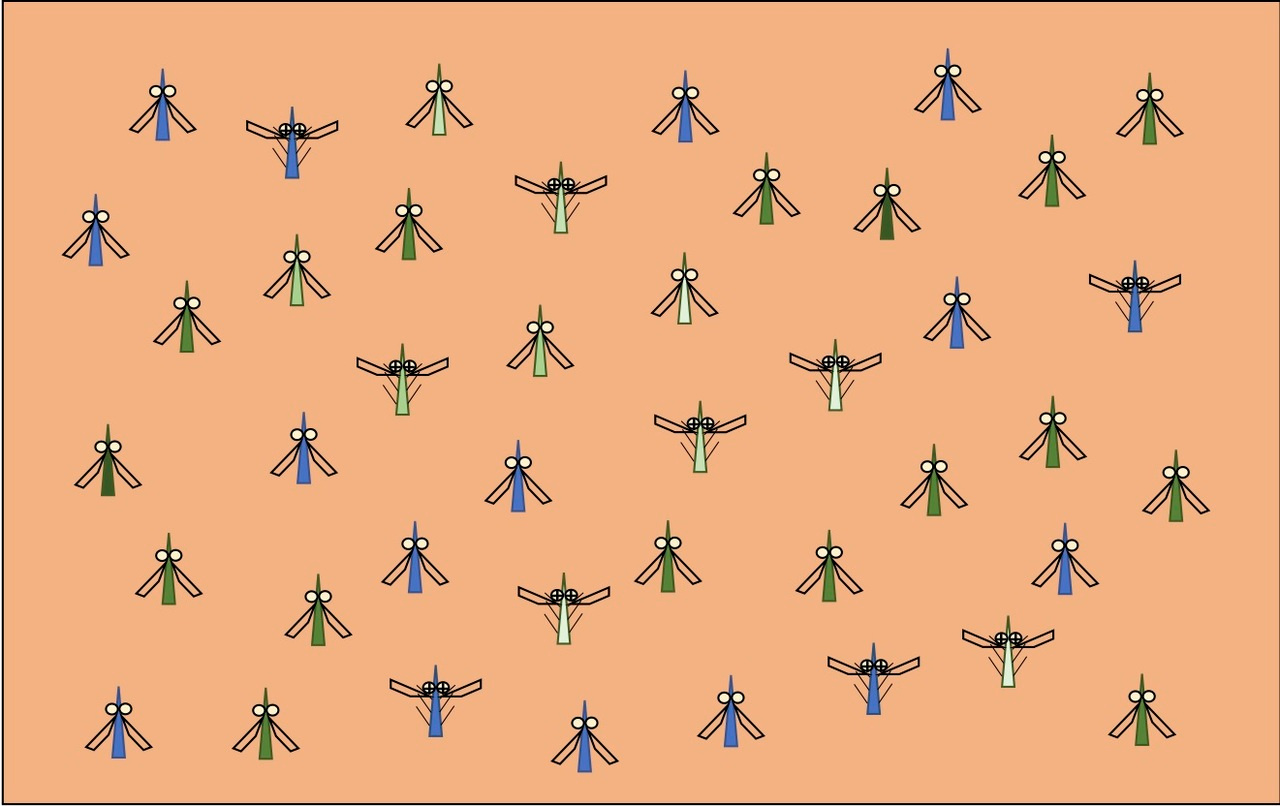 Variation in Wolbachia effects on Aedes mosquitoes as a determinant of invasiveness and vectorial capacity