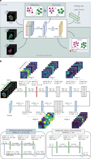 extended data figure 4