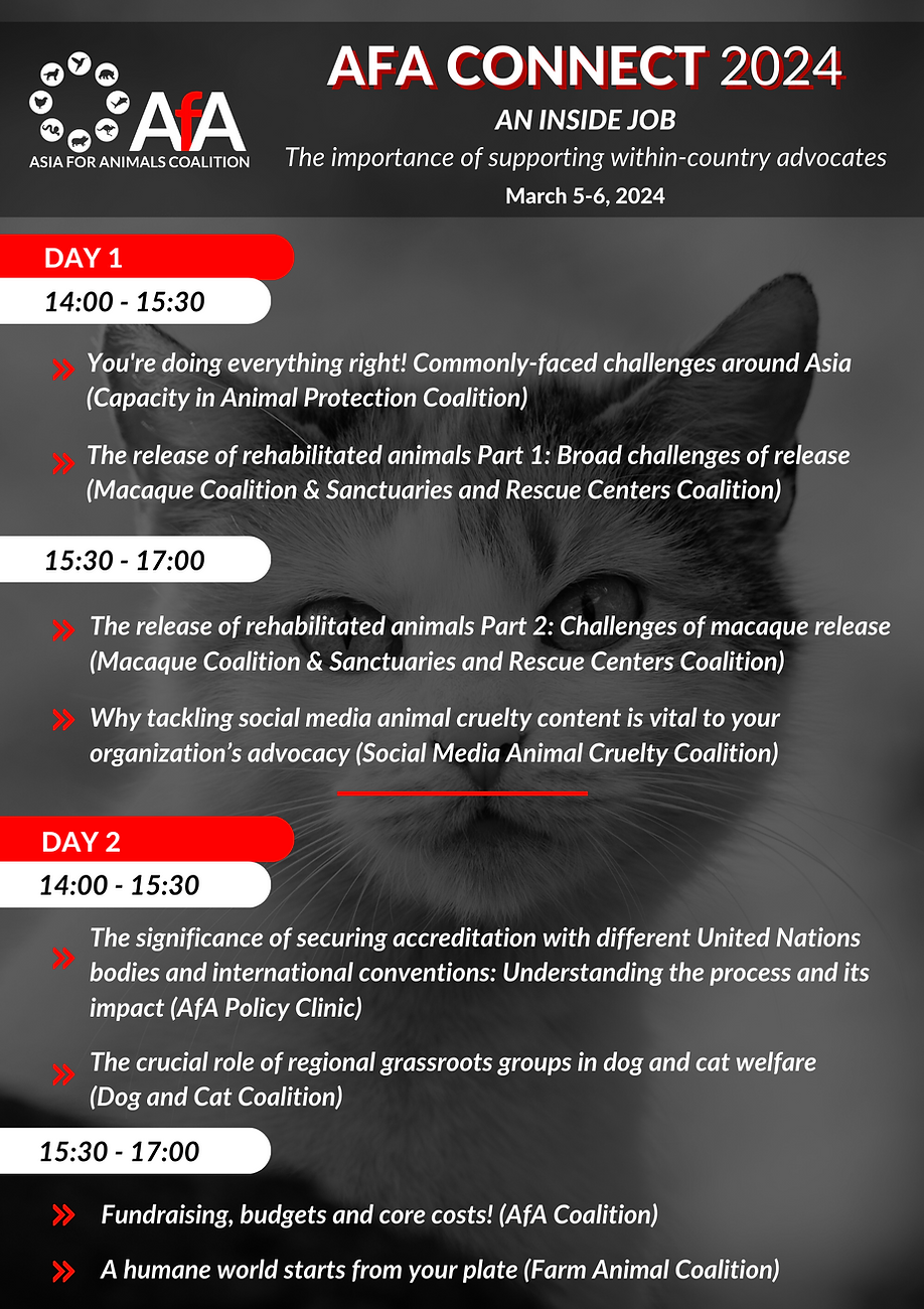 AfA Connect MARCH Schedule.png