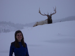 Scientific community assembly