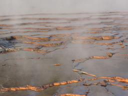 A Unique Intersection of Physicochemical Conditions Controls the Formation of Geothermal Iron Oxide Microbial Mats