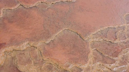 Iron-oxide microbial mats in Echinus Geyser (Norris Geyser Basin, Yellowstone National Park, WY, USA) 