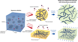 Pure PEDOT:PSS hydrogels