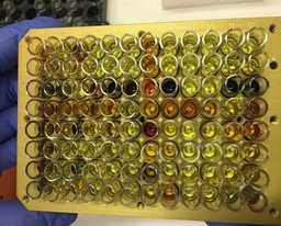 The energy-transfer-enabled disulfide–ene reaction: discovery, mechanistic elucidation, biocompatibility