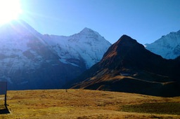 Why a policy review does not do the job…