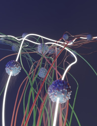 Tracking cell division with mass cytometry