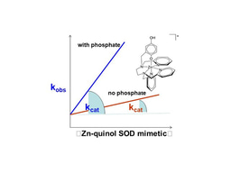 A New Strategy to Alleviate Oxidative Stress