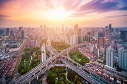 Benefits of Sending Japanese Future Managers Abroad at a Young Age