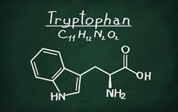 Tryptophan biosynthesis-a new target for TB treatment