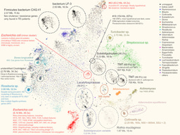 Capturing microbial dark matter by visualizing them