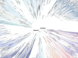 Bacteria and Archaea are not that distant according to phylogenomics