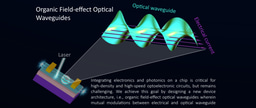 Organic Field-effect Optical Waveguides