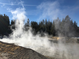 A New Perspective on Hydrothermal Biodiversity