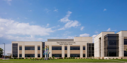 Institute's research published in top journal Stem Cell Reports