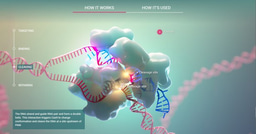 The multifunctional gene engineering platform CRISPR to dissect the genetic code of life