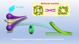 Turning solid-state molecular machines into photoactuators