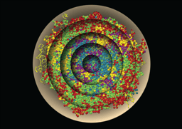 A journey from the periphery towards the center of the cell nucleus

