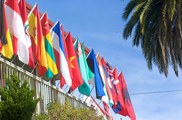 Waving the magic wand of intensive language training with a cultural edge