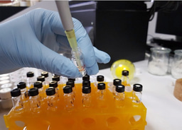 Speeding up thiol-disulfide molecular networks