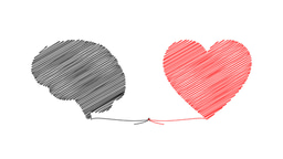 Fascination with the brain and anything neuro