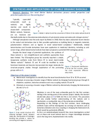 Blatter Radicals - Research Proposal