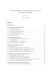 Summer 2020 Research Report