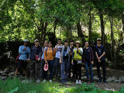 SEA at a Crossroads Reflection