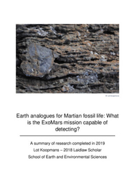 Earth Analogues for Martian Fossil Life: What is the ExoMars Mission Capable of Detecting?