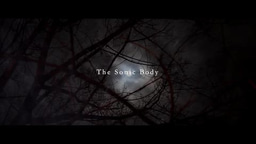The Sonic Body - Laidlaw Video Essay