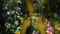 For ecological interactions, 3 ≫ 2