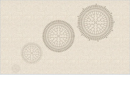 Dendrimers escape sensing by the human complement defence system