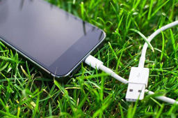 Does bioenergy represent a new opportunity for the waste sector?