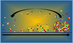 You may never think about microbes and biofilms the same way again