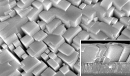 Growth of single-crystals on polycrystalline surface for photovoltaics
