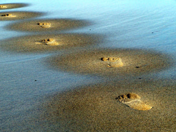 An Entrepreneur's Journey