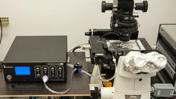 Topological surprises in channel-confined nematic flow