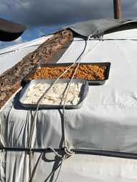 Mongolian translation of: Dairy pastoralism sustained Eastern Steppe populations for 5000 years - Сүү, цагаан идээнд түшиглэсэн бэлчээрийн мал аж ахуй нь 5000 жилийн туршид Зүүн Евразийн тал нутгийн ард түмний амин зуулгыг залгуулсаар иржээ