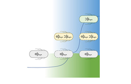 Respiratory quinone diversification to rise to the challenge