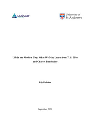 Life in the Modern City - Essay