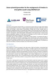Donor plasmid generation for the mutagenesis of timeless in Drosophila suzukii using CRISPR/Cas9 